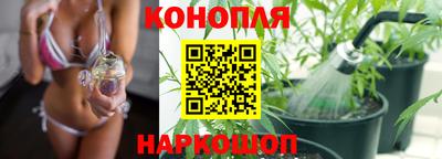 спиды Будённовск