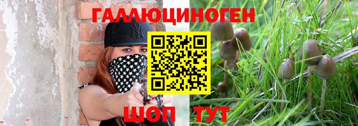 Псилоцибиновые грибы MAGIC MUSHROOMS  Псилоцибиновые грибы GOLDEN TEACHER  Владивосток  Вход с VPN 
