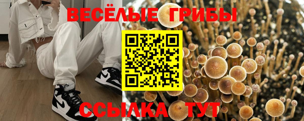 Псилоцибиновые грибы Magic Shrooms Владивосток